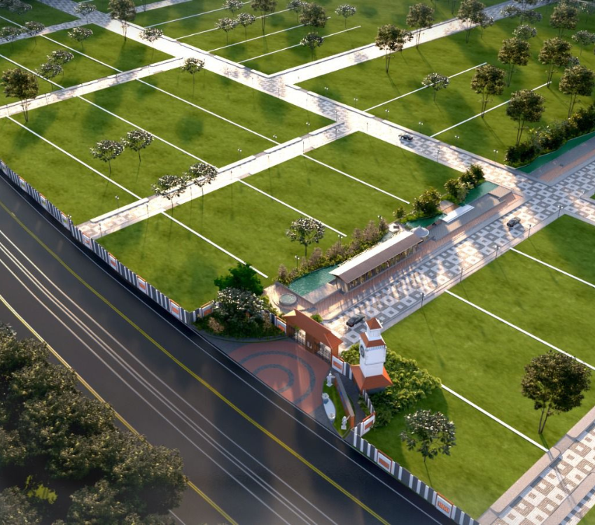 Saibya Sapling-bangalore